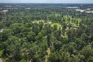 1 Hilo Ln, Conroe, TX 77303 - Photo 9