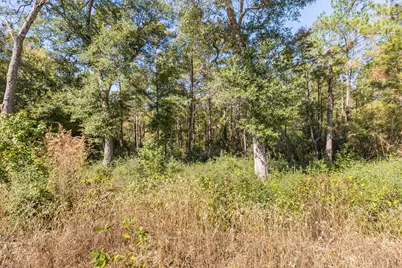 127 Inscription Lane, Huntsville, TX 77340 - Photo 13