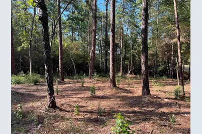 021 Private Rd 6028, Brookeland, TX 75931 - Photo 3
