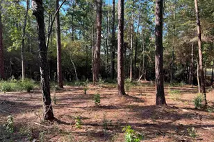 021 Private Rd 6028, Brookeland, TX 75931 - Photo 3