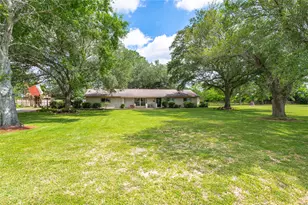 1046 Fm 517 Rd, Alvin, TX 77511 - Photo 3
