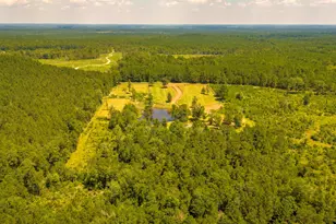 375 Co Rd 3560, Woodville, TX 75979 - Photo 35