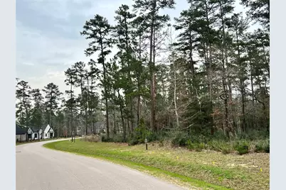 Tbd7 Lily Bean, Montgomery, TX 77316 - Photo 3