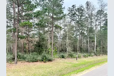 Tbd7 Lily Bean, Montgomery, TX 77316 - Photo 5