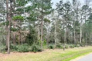 Tbd7 Lily Bean, Montgomery, TX 77316 - Photo 5