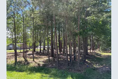0 Bear Branch, Magnolia, TX 77354 - Photo 3