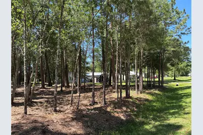 0 Bear Branch, Magnolia, TX 77354 - Photo 5