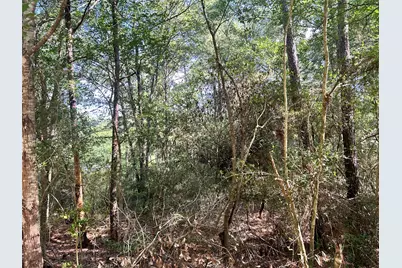 Lot 28 Sycamore Lane, Plantersville, TX 77363 - Photo 3