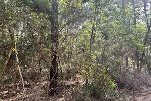 Lot 28 Sycamore Ln, Plantersville, TX 77363 - Photo 1