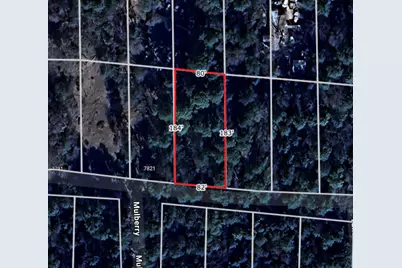 Lot 28 Sycamore Lane, Plantersville, TX 77363 - Photo 7