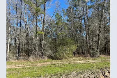 1.24 Ac Circle 5, Orange, TX 77632 - Photo 3