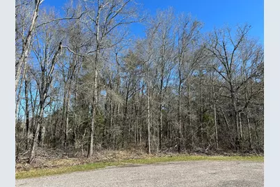 1.24 Ac Circle 5, Orange, TX 77632 - Photo 1