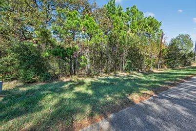 Tbd Boars Head, Montgomery, TX 77316 - Photo 3