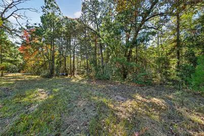 Tbd Boars Head, Montgomery, TX 77316 - Photo 1