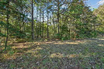 Tbd Boars Head, Montgomery, TX 77316 - Photo 5
