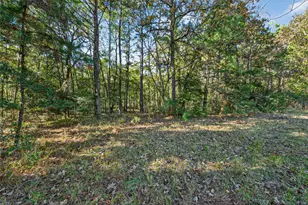 Tbd Boars Head, Montgomery, TX 77316 - Photo 5