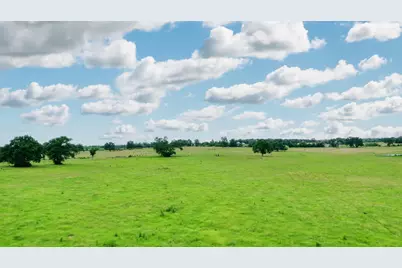 000 Pleasant Grove, Iola, TX 77861 - Photo 15