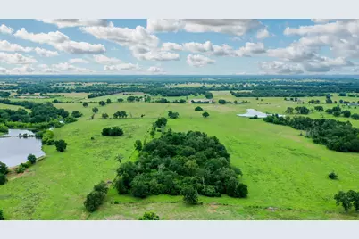 000 Pleasant Grove, Iola, TX 77861 - Photo 5