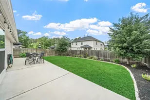 40638 Goldeneye Pl, Magnolia, TX 77354 - Photo 19