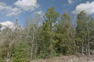0 R44260 R44260, Conroe, TX 77304 - Photo 1