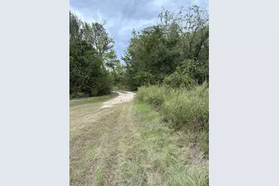 150 Loraine B Road, Point Blank, TX 77364 - Photo 7