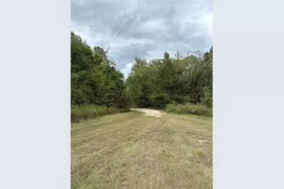 150 Loraine B Road, Point Blank, TX 77364 - Photo 5