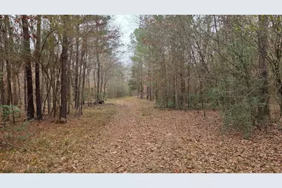 10441 US 287, Chester, TX 75936 - Photo 13