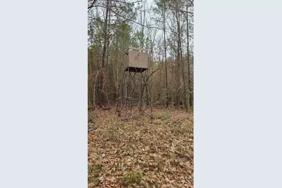 10441 US 287, Chester, TX 75936 - Photo 21