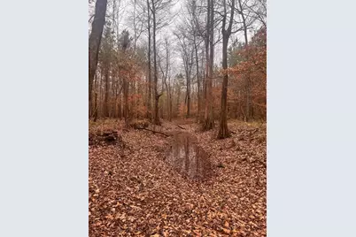 10441 US 287, Chester, TX 75936 - Photo 11