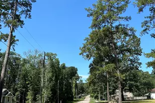 0 Royal Creek Rd, Willis, TX 77303 - Photo 19