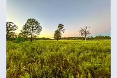 T-5 Hoke Road, Richards, TX 77873 - Photo 27