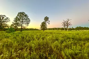 T-5 Hoke Rd, Richards, TX 77873 - Photo 27
