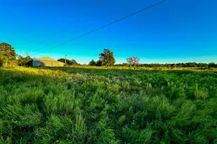 T-5 Hoke Rd, Richards, TX 77873 - Photo 13