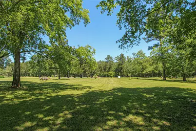 233 Taylor Cemetery Road, Moscow, TX 75960 - Photo 15