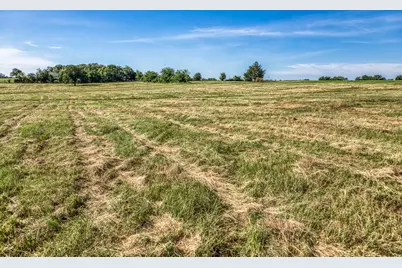 Tract 5 - 8145 Fm 390 E, Brenham, TX 77833 - Photo 3