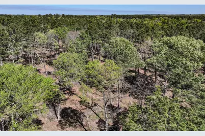 139.82 Acres State Highway 21 E, Crockett, TX 75835 - Photo 9