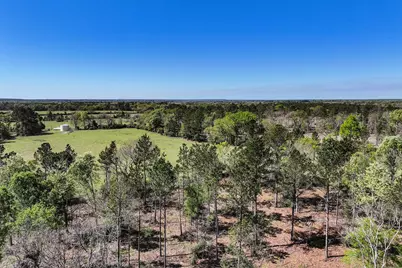 139.82 Acres State Highway 21 E, Crockett, TX 75835 - Photo 11