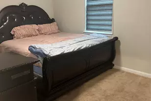 1617 Darwin Cedar Dr, Rosharon, TX 77583 - Photo 47