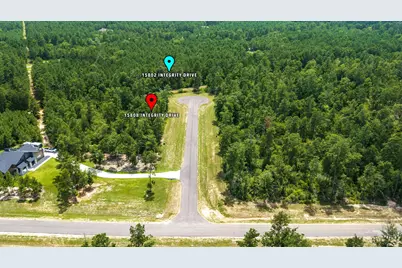 15808 Integrity Drive, Willis, TX 77378 - Photo 5