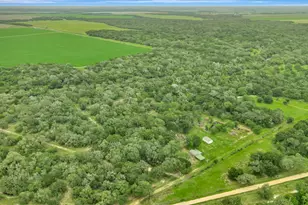 4600 Fm 1862 Rd, Palacios, TX 77465 - Photo 7
