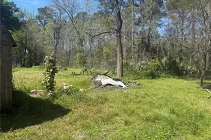 137 County Rd 459, Dayton, TX 77535 - Photo 3