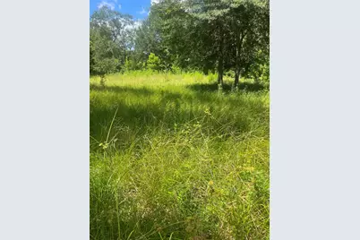 1001 Avenue E, Conroe, TX 77301 - Photo 7