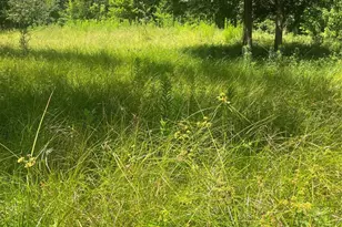 1001 Avenue E, Conroe, TX 77301 - Photo 7