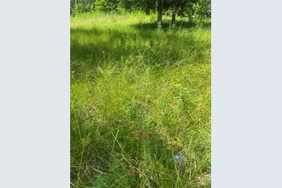 1001 Avenue E, Conroe, TX 77301 - Photo 9