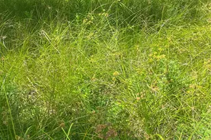 1001 Avenue E, Conroe, TX 77301 - Photo 9