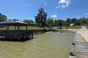 230 E Woodland Shrs Dr, Point Blank, TX 77364 - Photo 1