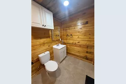 230 E Woodland Shores Drive, Point Blank, TX 77364 - Photo 23