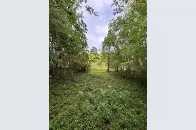 879 County Road 2167, Cleveland, TX 77327 - Photo 35