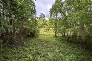 879 Co Rd 2167, Cleveland, TX 77327 - Photo 35
