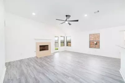 11726 Dandy Park Court, Houston, TX 77047 - Photo 9